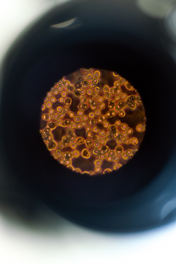 MIKROGRAFIA Sp. z o.o. MIKROGRAFIA Sp. z o.o.