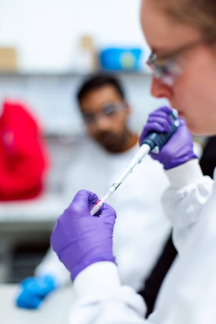 Badanie czystości mikrobiologicznej kosmetyków Badanie czystości mikrobiologicznej kosmetyków