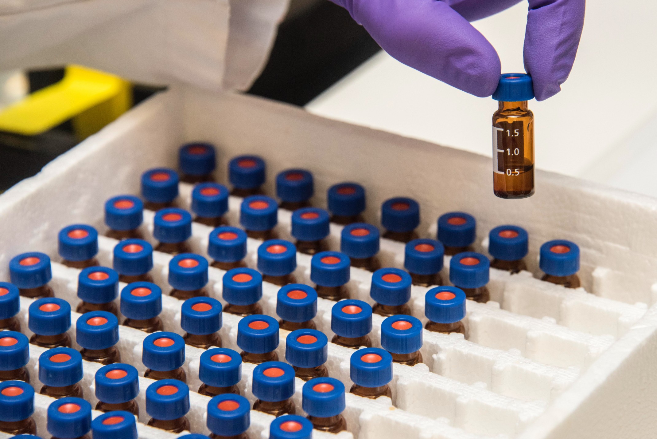 Identyfikacja drobnoustrojów